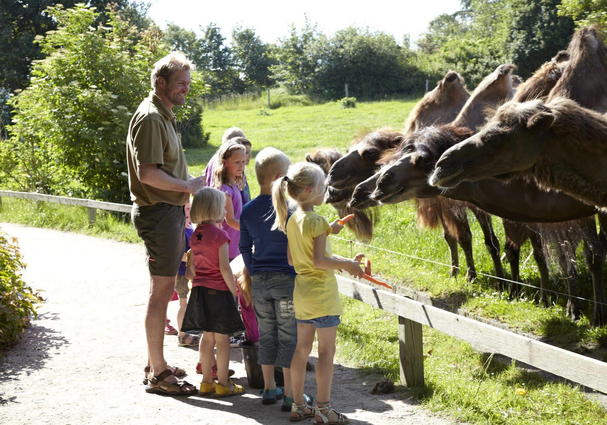 Givskud Zoo Hostel Экстерьер фото